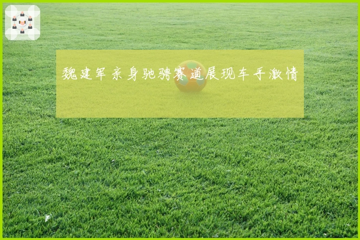 魏建军亲身驰骋赛道展现车手激情